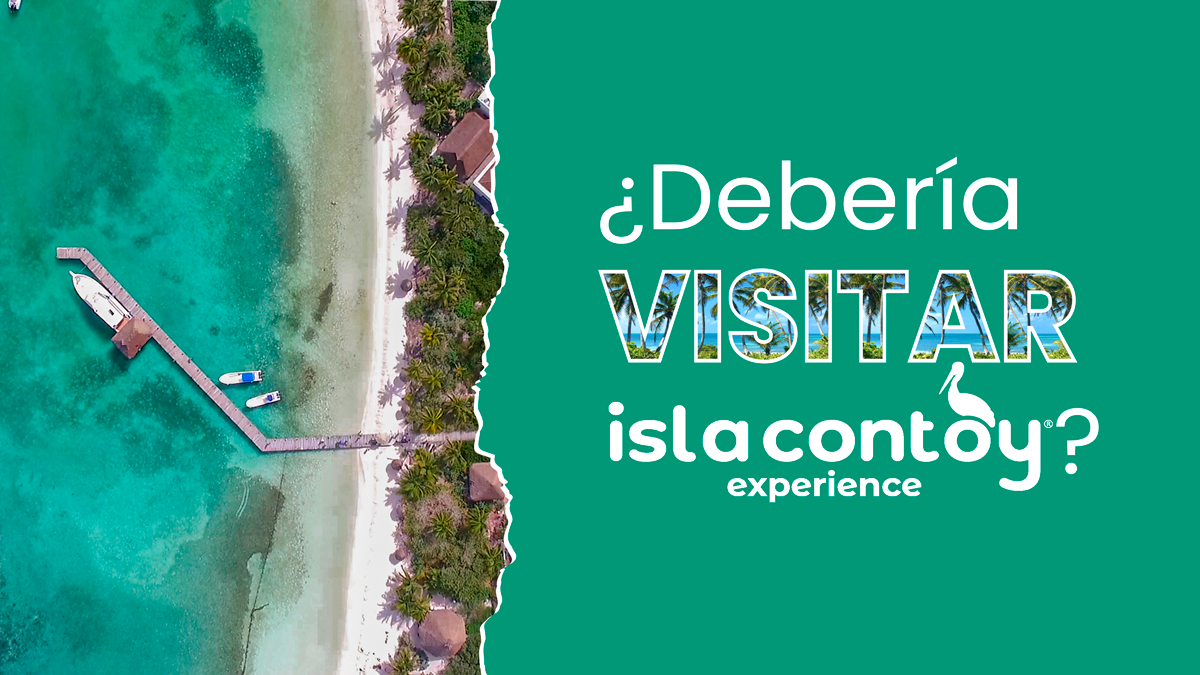 5 Razones Para Visitar Isla Contoy En 2023